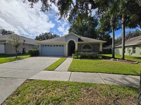 509 VALENCIA PARK DRIVE, SEFFNER, FL 33584