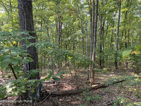 Lot 315 PINE CREEK Drive, East Stroudsburg, PA 18302