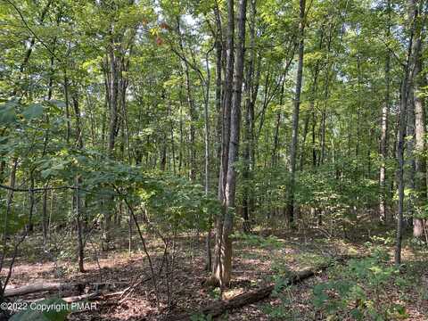 Lot 312 PINE CREEK Drive, East Stroudsburg, PA 18302