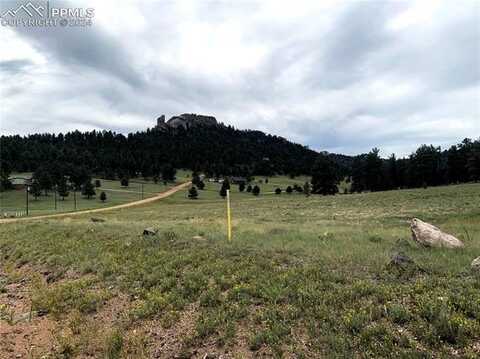 672 N Deer Mountain Road, Florissant, CO 80816