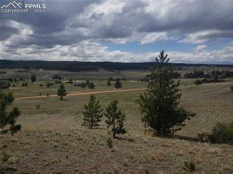 1938 S Mountain Estates Road, Florissant, CO 80816