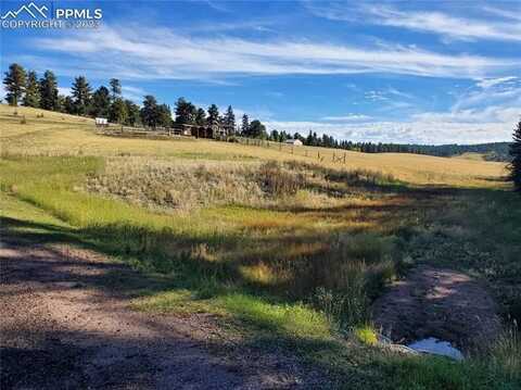 309 Pinaceae Heights, Divide, CO 80814