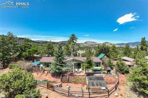 100 Hawk Lane, Guffey, CO 80820