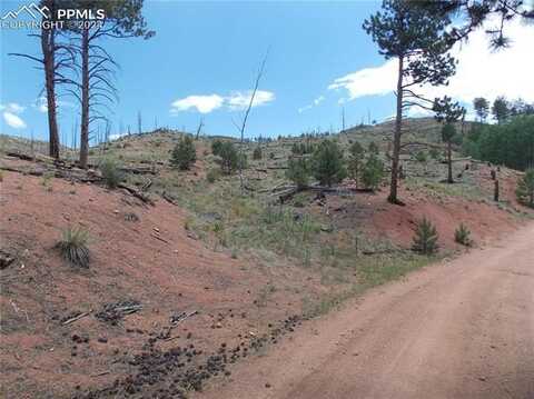 14691 Crooked Trail Road, Woodland Park, CO 80863