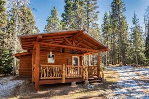 55 Worley Road, Divide, CO 80814