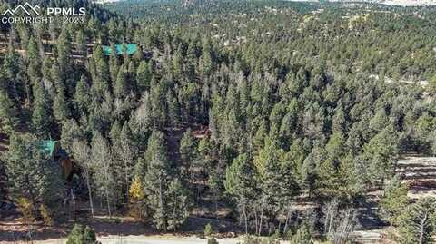 2700 N Mountain Estates Road, Florissant, CO 80816