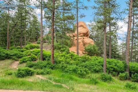 4580 Delaware Drive, Larkspur, CO 80118