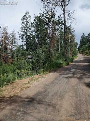 Ute Road, Cascade, CO 80809