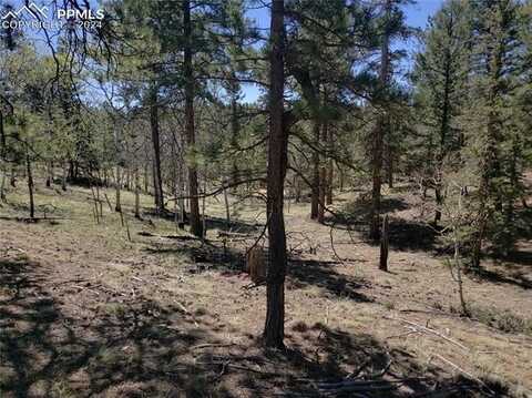 69 Lake Circle, Divide, CO 80814