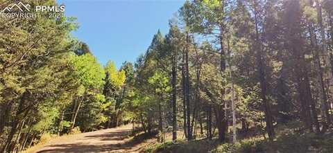 Pitchblende Road, Florissant, CO 80816