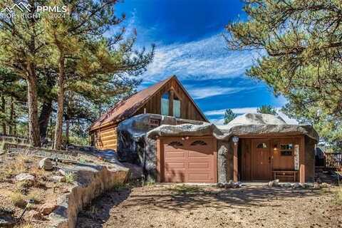 551 Forest Glen Trail, Florissant, CO 80816