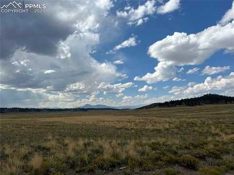 10055 County Road 53, Hartsel, CO 80449