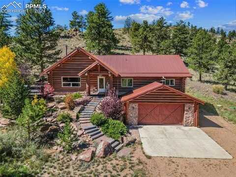 35 Toms Ranch Road, Lake George, CO 80827