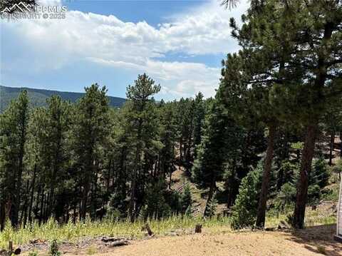 2288 Badger Drive, Larkspur, CO 80118