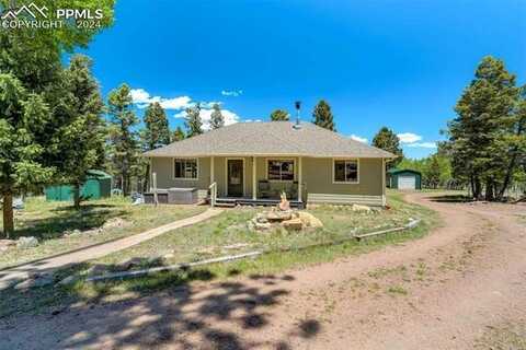 453 Castle Mountain Drive, Guffey, CO 80820