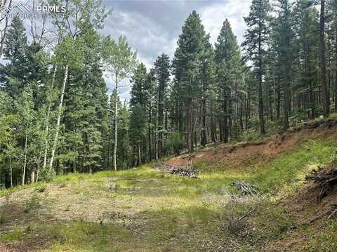 272 Fern Valley Road, Manitou Springs, CO 80829