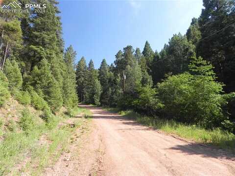 13175 Spruce Creek Circle, Larkspur, CO 80118