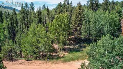 158 Rattler Court, Cripple Creek, CO 80813