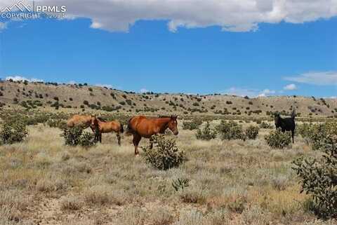 County Road 64.8, Model, CO 81059