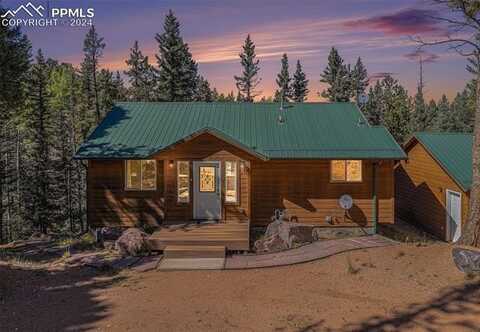 564 Black Bear Drive, Divide, CO 80814