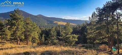 279 Wagonwheel Road, Guffey, CO 80820