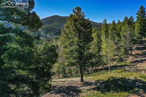 1100 Elk Ridge South, Divide, CO 80814