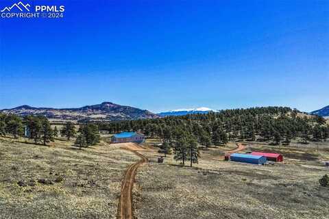 1363 Tess Trace, Guffey, CO 80820