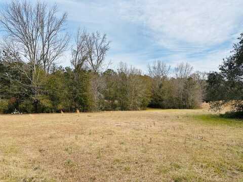 00 Marie Dr. Lot 33, Carriere, MS 39426