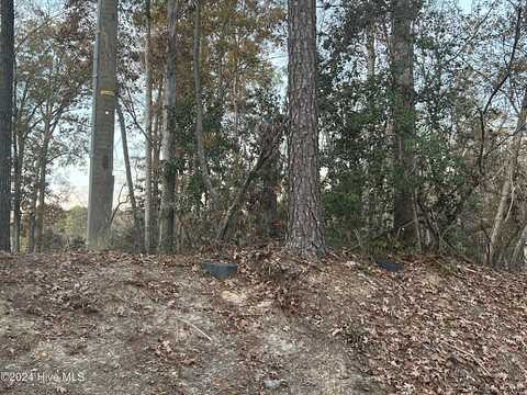 204 Lakeview Drive, Whispering Pines, NC 28327