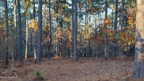 4 Brassie Circle, Jackson Springs, NC 27281