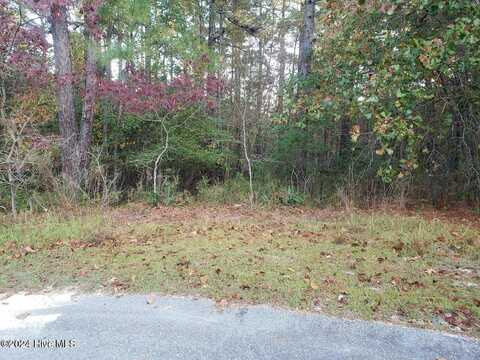 6 Brassie Circle, Jackson Springs, NC 27281