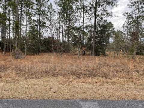 Lot 14 SE 136th Terrace, Dunnellon, FL 34431