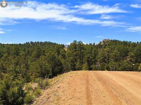 659 Coopers Canyon Road, Westcliffe, CO 81252