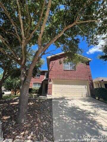 300 prickly pear, Cibolo, TX 78108