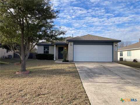 284 Loon Lake Drive, Kyle, TX 78640