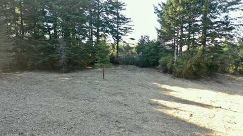 42836 Hensley Hill Road, Port Orford, OR 97465