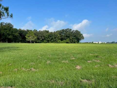 00 #10 Oak Bend Circle, 4.38 acres, Cairo, GA 39828