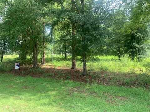 Lot 1 Country Club Rd, Bainbridge, GA 39817