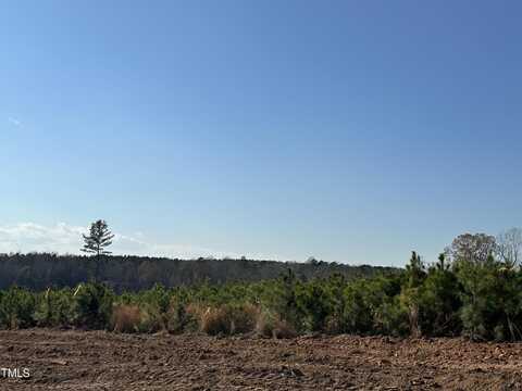 Lot 7 Green Downs Trail, Spring Hope, NC 27882