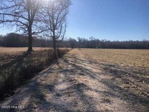 9.78 Ac Sr 1528 Off Road, Pinetown, NC 27865