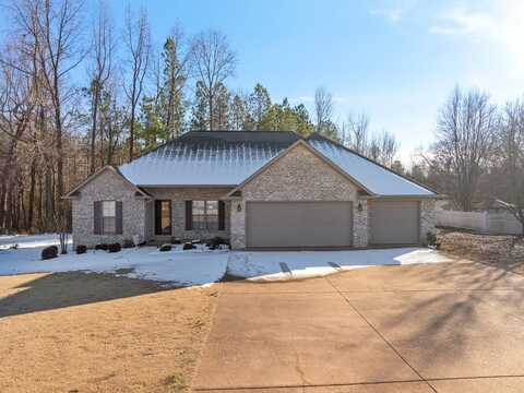 1386 Carroll Lake Rd, MCKENZIE, TN 38201