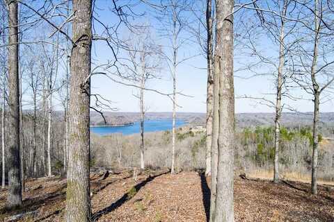 Lot 23 Lillydale Rd, Byrdstown, TN 38549