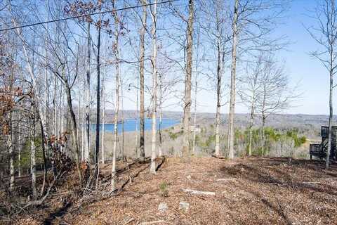 Lot 24 Lillydale Rd, Byrdstown, TN 38549