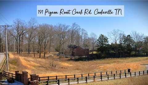 191 Pigeon Roost Creek Rd, COOKEVILLE, TN 38506