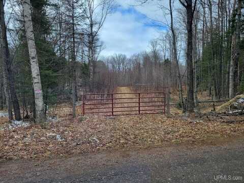 TBD Fence River, Republic, MI 49879