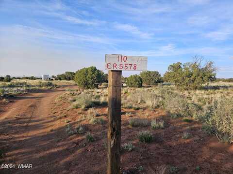 110 N Cty Rd 5578, Concho, AZ 85924