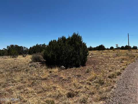 8542 Airport Drive, White Mountain Lake, AZ 85912