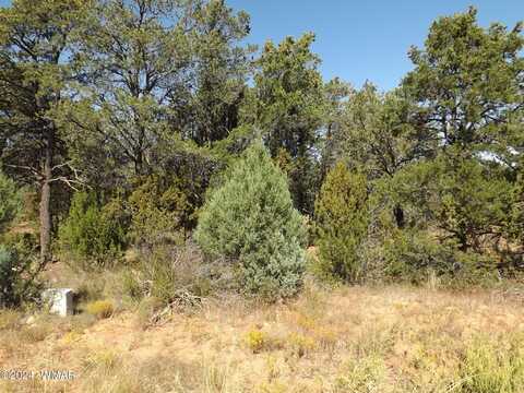 1554 Mainline Road, Heber, AZ 85928