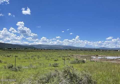 Tbd Parcel 3, Springerville, AZ 85938