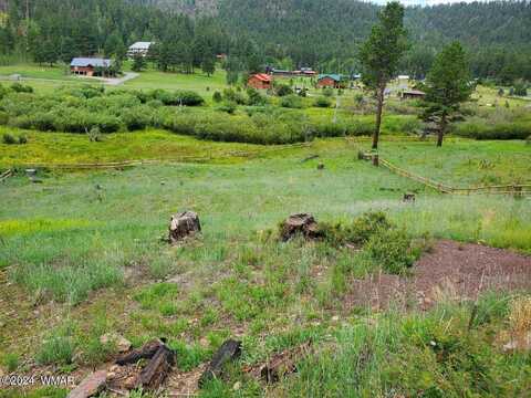 22 Lot Greer Mountain Drive, Greer, AZ 85927